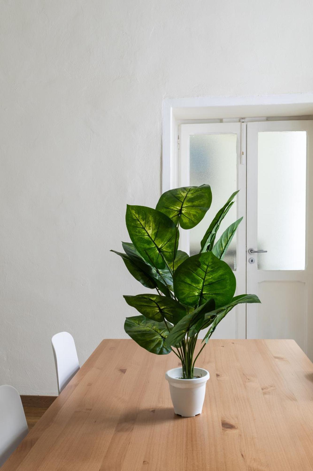 Cozy Historical Flat Napoli Apartment Luaran gambar