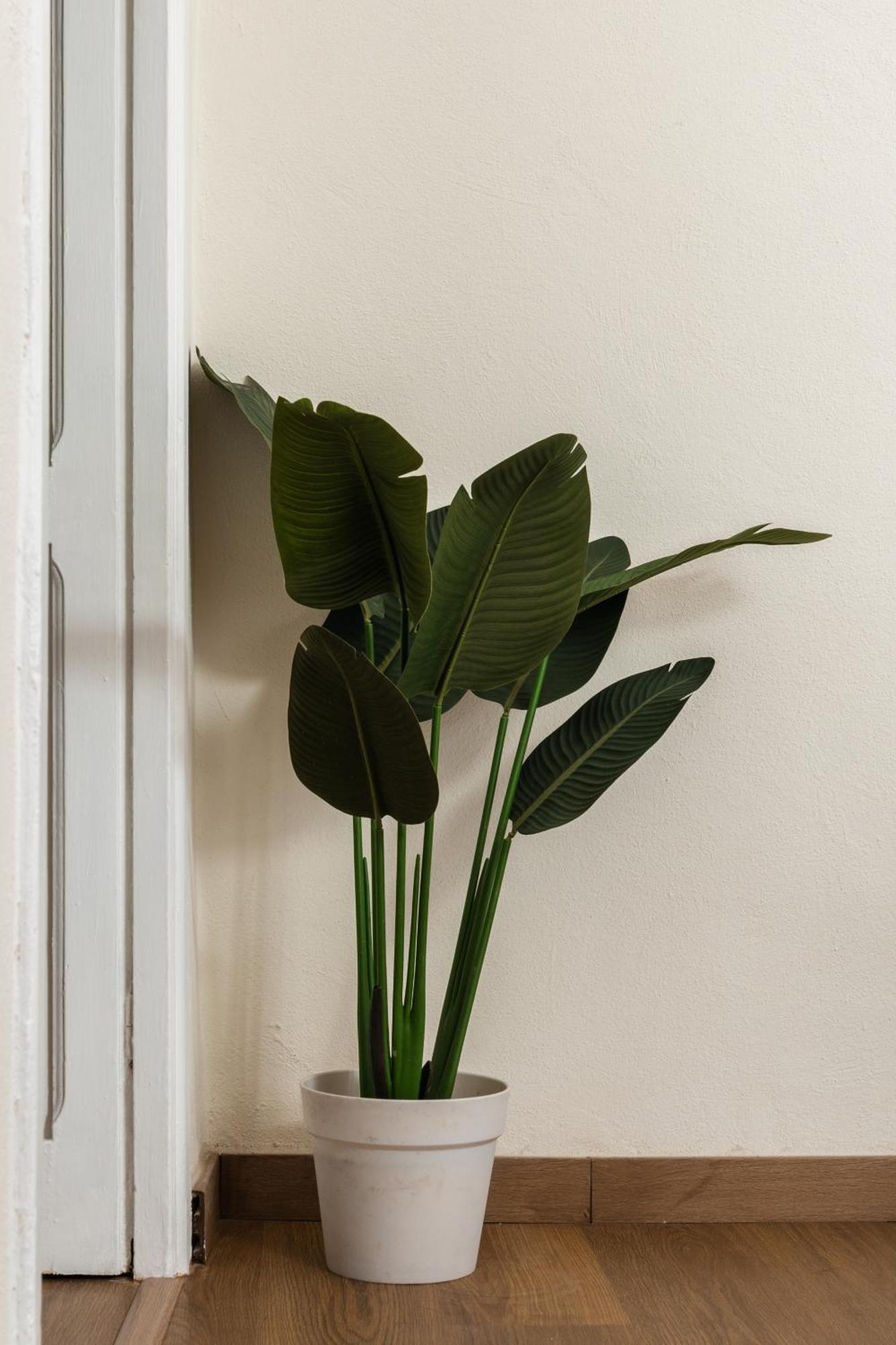 Cozy Historical Flat Napoli Apartment Luaran gambar